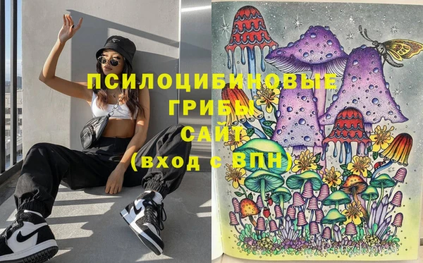 МДПВ Корсаков