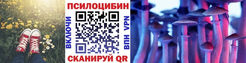Псилоцибиновые грибы мухоморы  Купить где  Краснозаводск 